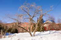 /album/fotogalljerjeja/dsc-0452-jpg/